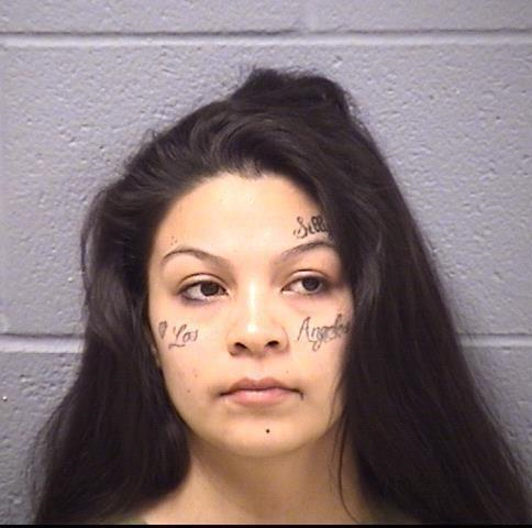 will county jail female joliet patch